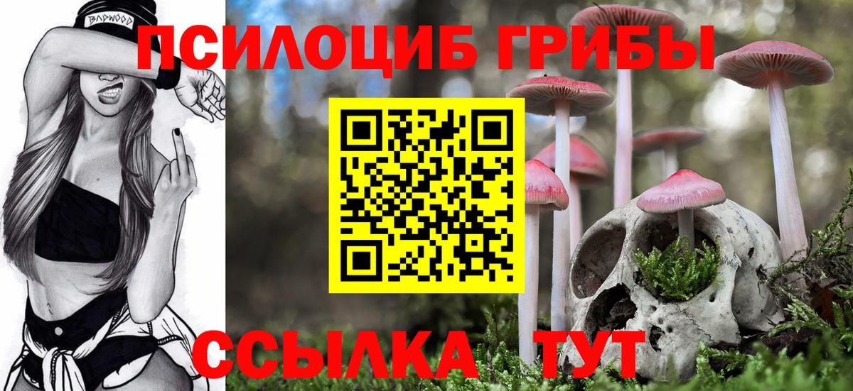 Галлюциногенные грибы Cubensis Зеленогорск