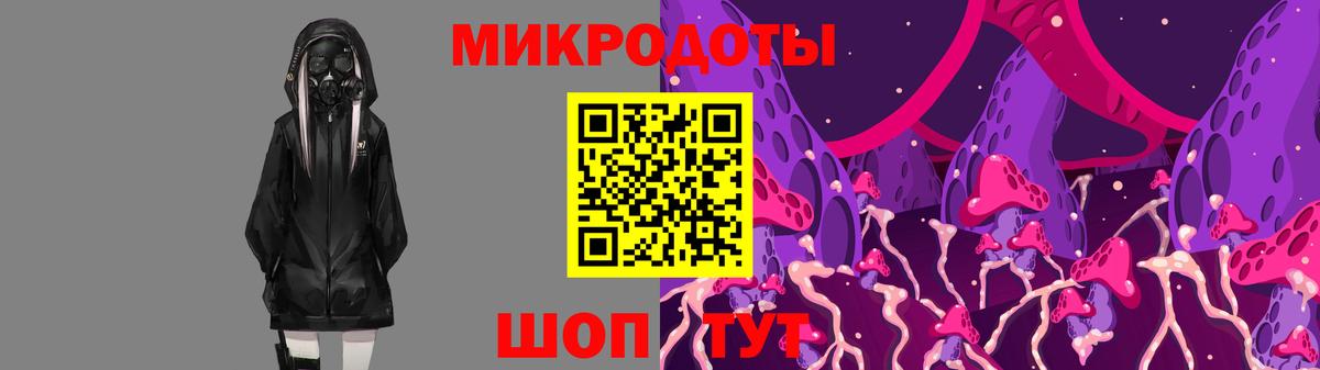 наркота  Галлюциногенные грибы прущие грибы  Вход с VPN  Псилоцибиновые грибы ЛСД  Зеленогорск 